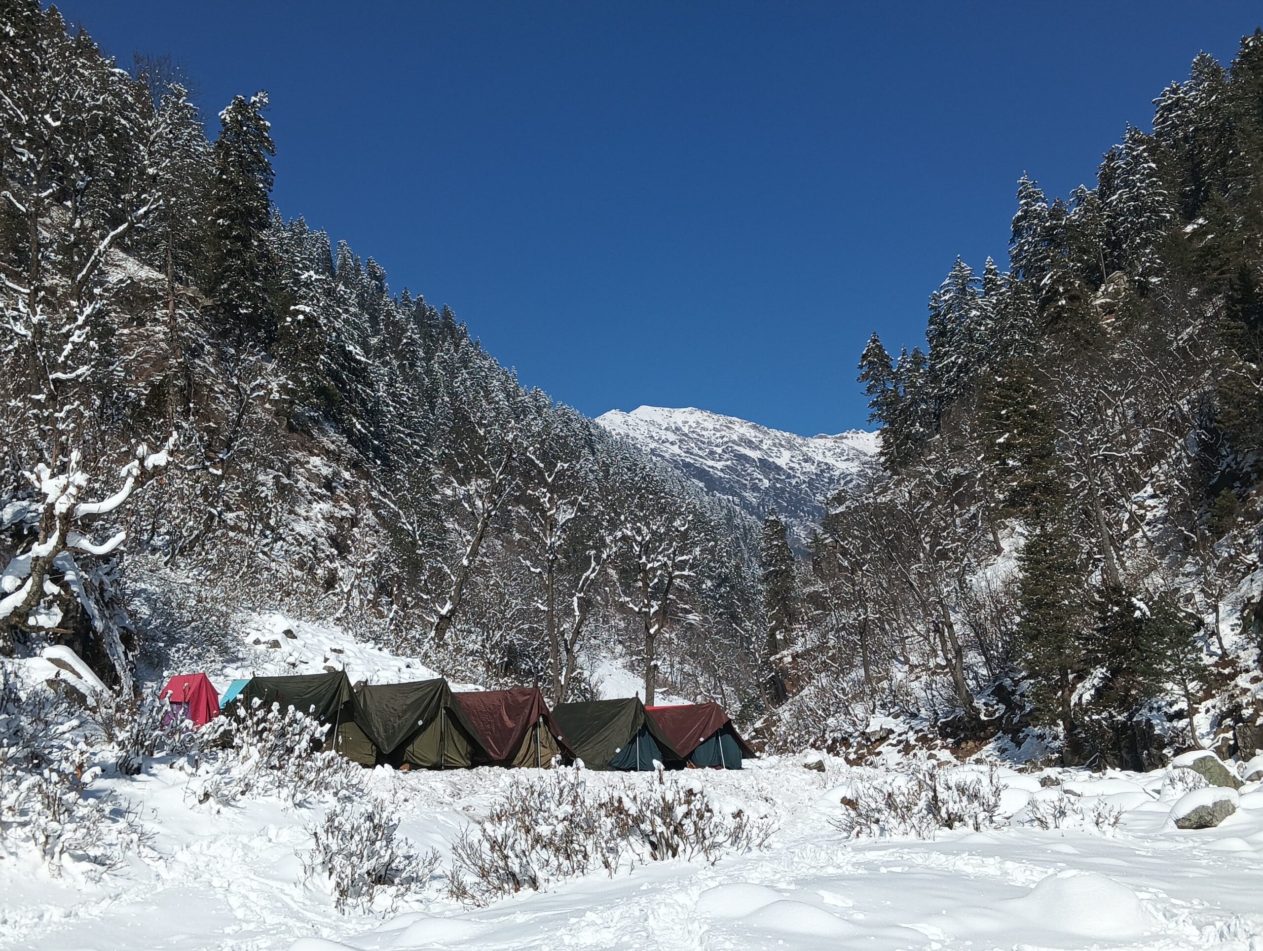 Mountain Trek Kashmir